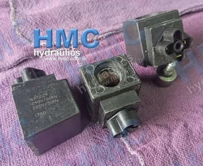  697229 Bobina 240 VAC - D1VW - 2