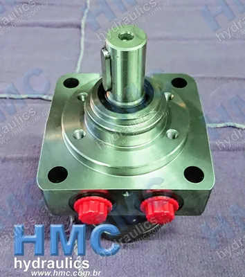 TE0100 LW261 AAAB Motor Hidráulico
