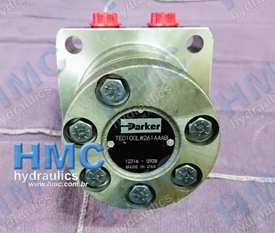  TE0100 LW261 AAAB Motor Hidráulico - 2